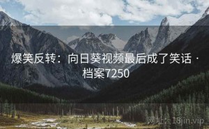 爆笑反转：向日葵视频最后成了笑话 · 档案7250