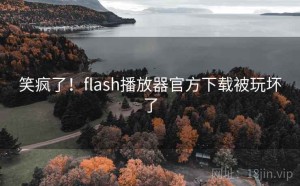 笑疯了！flash播放器官方下载被玩坏了