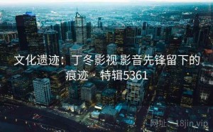 文化遗迹：丁冬影视 影音先锋留下的痕迹 · 特辑5361