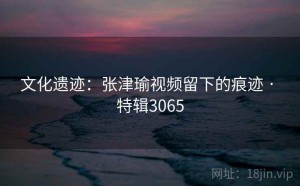 文化遗迹：张津瑜视频留下的痕迹 · 特辑3065