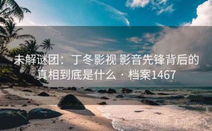 未解谜团：丁冬影视 影音先锋背后的真相到底是什么 · 档案1467