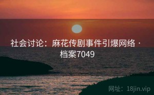 社会讨论：麻花传剧事件引爆网络 · 档案7049
