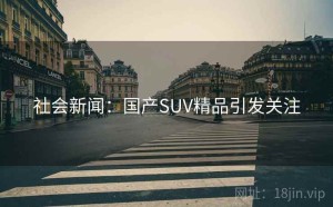 社会新闻：国产SUV精品引发关注