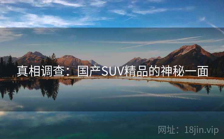 真相调查：国产SUV精品的神秘一面