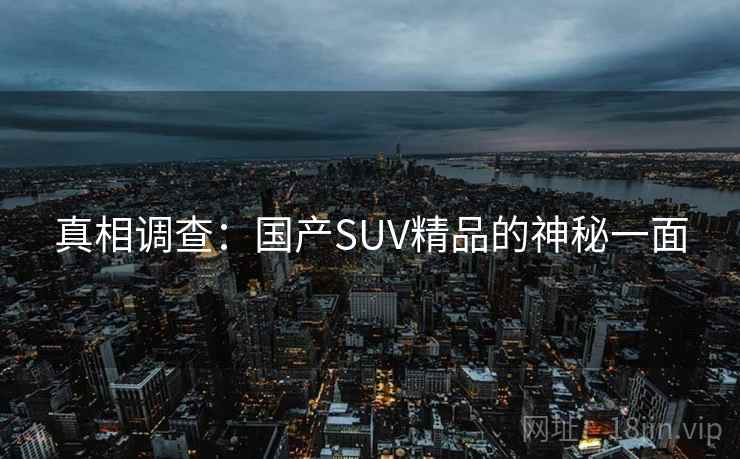 真相调查：国产SUV精品的神秘一面