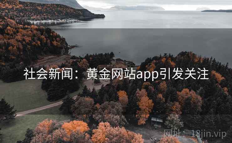 社会新闻：黄金网站app引发关注