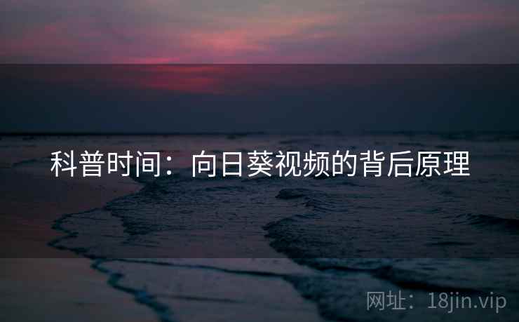 科普时间：向日葵视频的背后原理