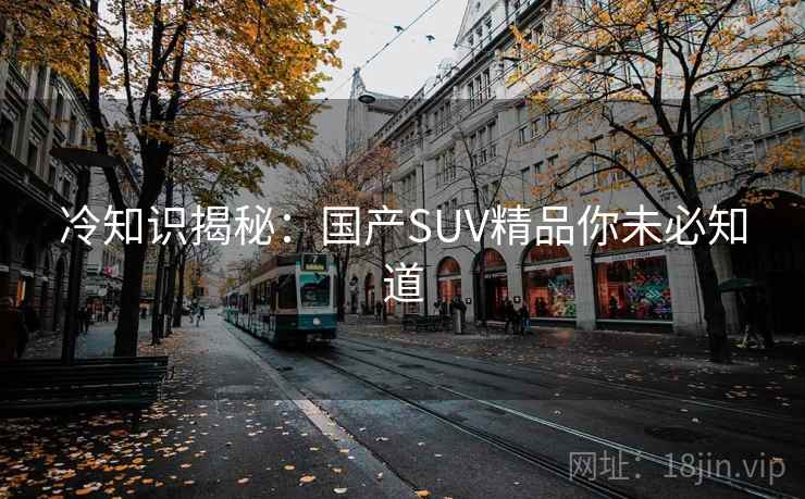冷知识揭秘：国产SUV精品你未必知道